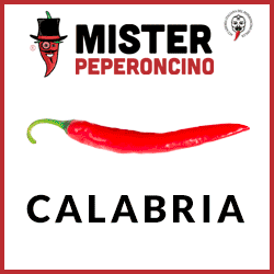 Vai sul sito https://www.misterpeperoncino.it